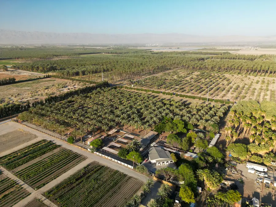 82955 Avenue 60, Thermal, CA 92274 - Image #3