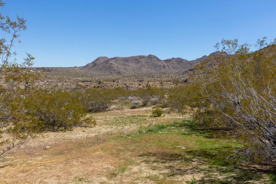 9073 Tortuga Trail, Joshua Tree, CA 92252 - Image #3