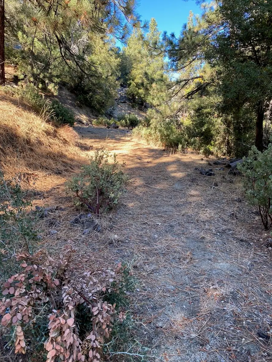 0 Lakeview Drive, Idyllwild, CA 92549 - Image #3