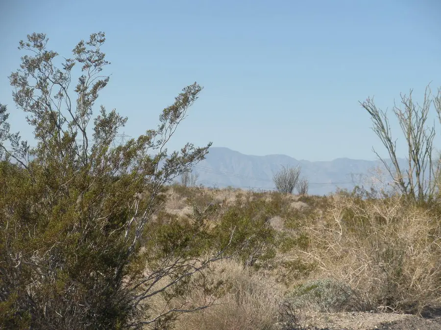 10 Acs Near Dillion/fargo Cyn, Indio, CA 92201 - #2