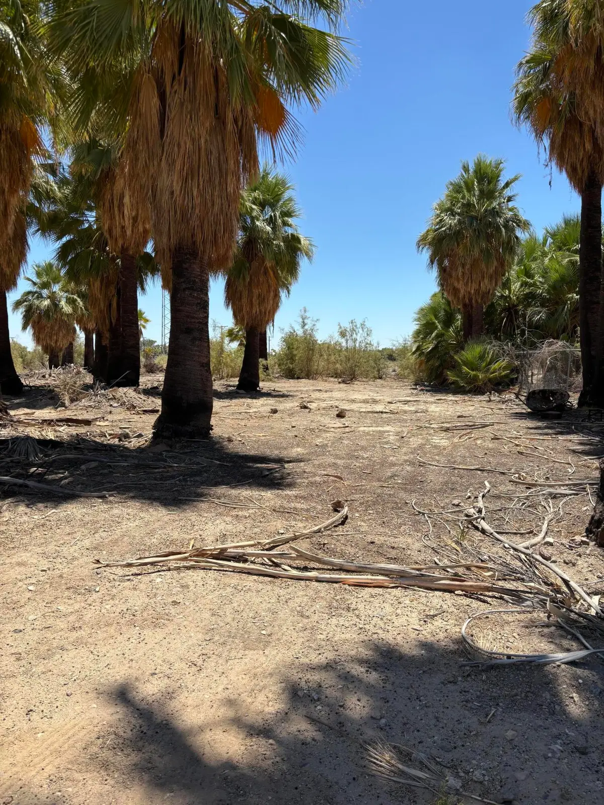 51 W 4th St, Niland, CA 92257 - #1