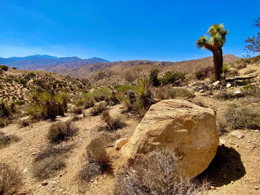 120 Benmar Trail, Morongo Valley, CA 92256 - #2