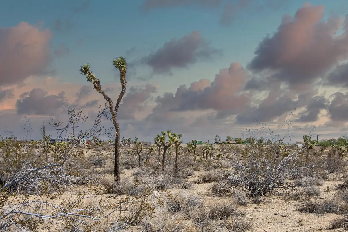 1435 Jemez Trail, Yucca Valley, CA 92284 - Image #1