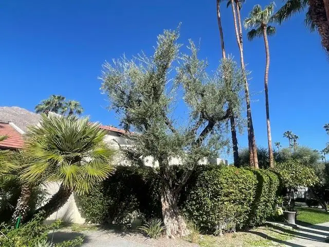 1470 S Camino Real, Palm Springs, CA 92264 - Image #1