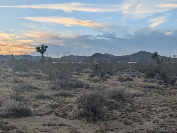 476 Ripon Avenue, Yucca Valley, CA 92284