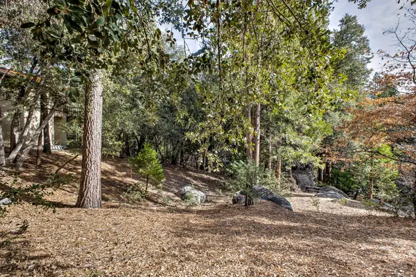 55283 Pine Crest Avenue Avenue, Idyllwild, CA 92549