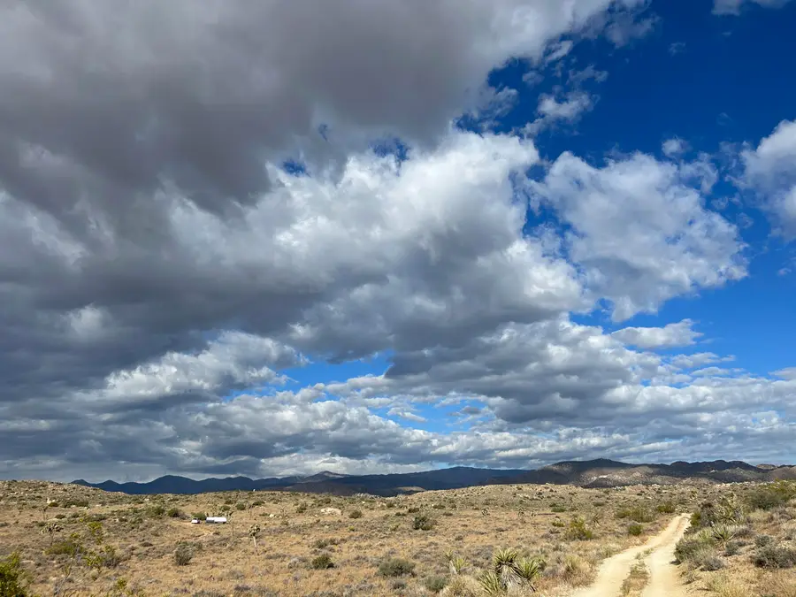 52185 Jalmar Road, Yucca Valley, CA 92284 - #3