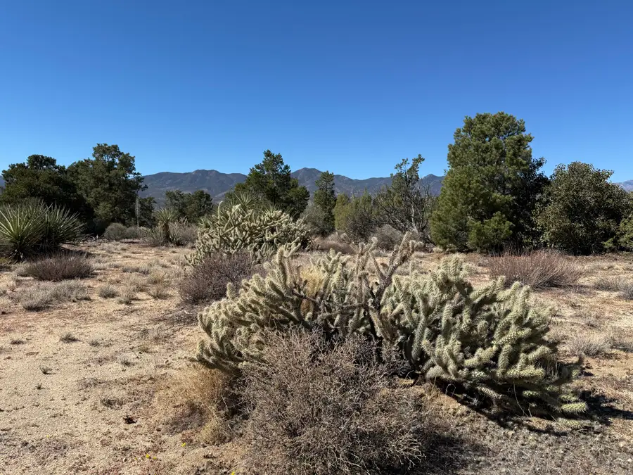 0 Rockwood, Mountain Center, CA 92561 - Image #2