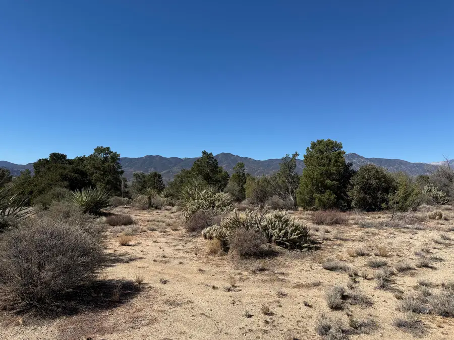 0 Rockwood, Mountain Center, CA 92561 - Image #3