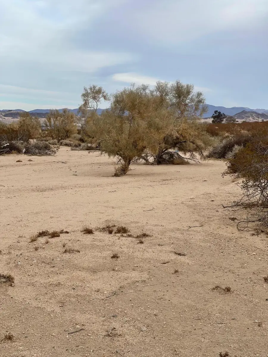 6113311600 Canyon Road, Twentynine Palms, CA 92277 - Image #2