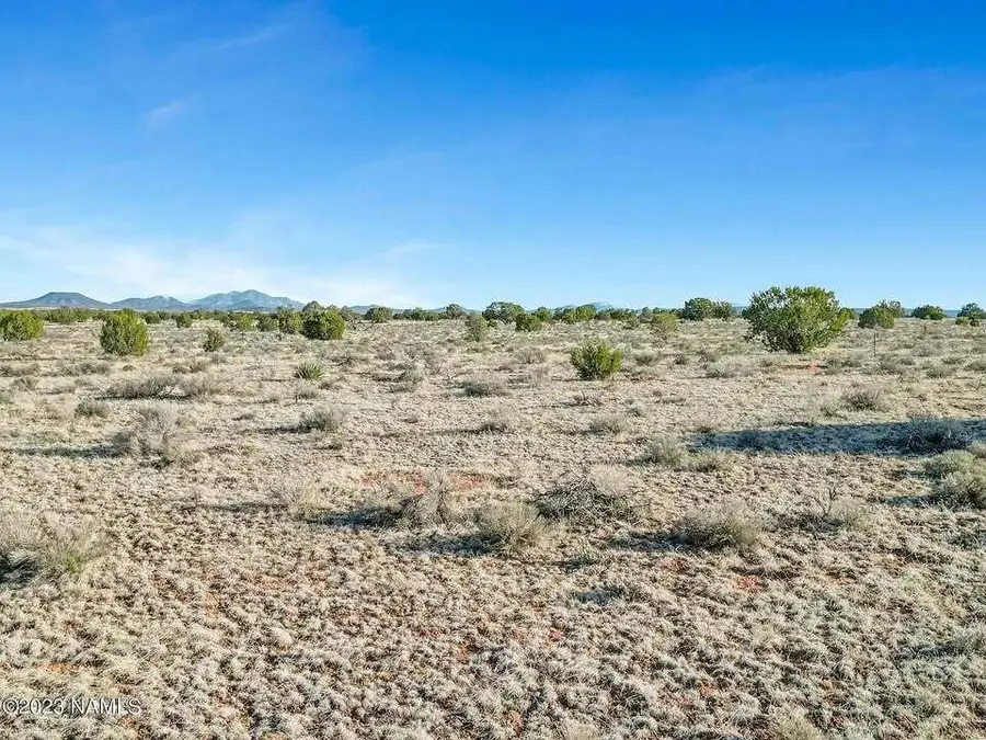 6192012200 Amboy Road, Joshua Tree, CA 92252 - Image #2