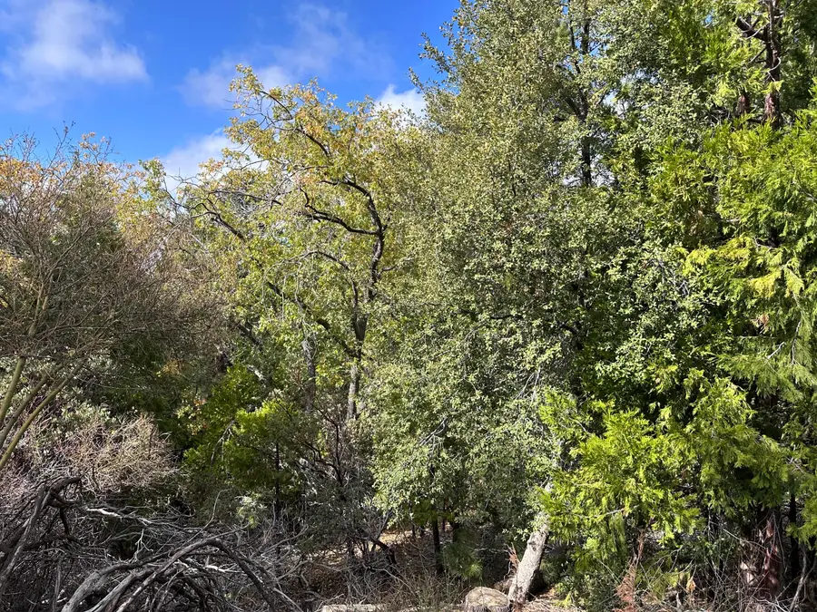 0 Round Robin, Idyllwild, CA 92549 - Image #2