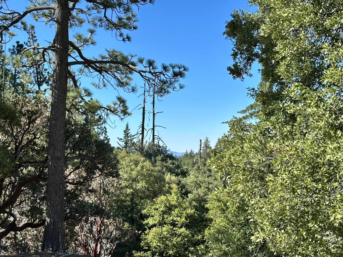 0 Mountain View, Idyllwild, CA 92549 - #1