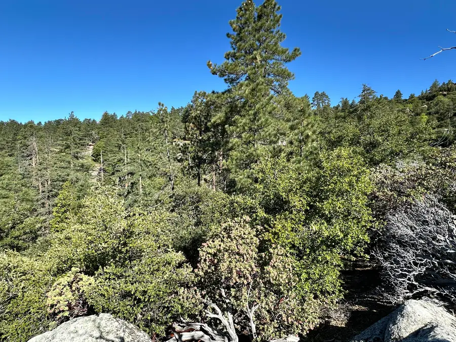 0 Mountain View, Idyllwild, CA 92549 - #3