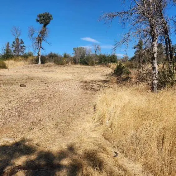 16582 4th Avenue, Clearlake, CA 95422 - Image #3