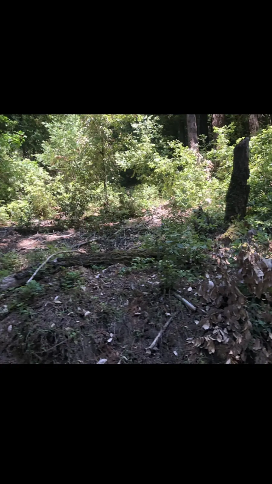 0 Visitar Street, Scotts Valley, CA 95066 - Image #3