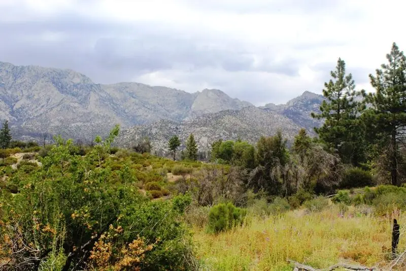 0 Bonita Vista Road, Mountain Center, CA 92561 - #1