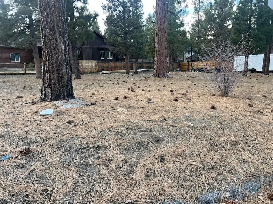 449 E Country Club Boulevard, Big Bear City, CA 92314 - Image #2