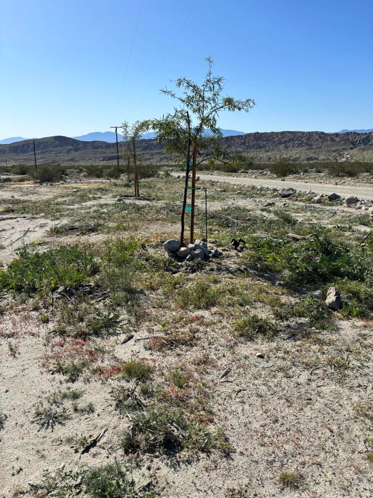 23750 Larsen Lane, Desert Hot Springs, CA 92241 - Image #1