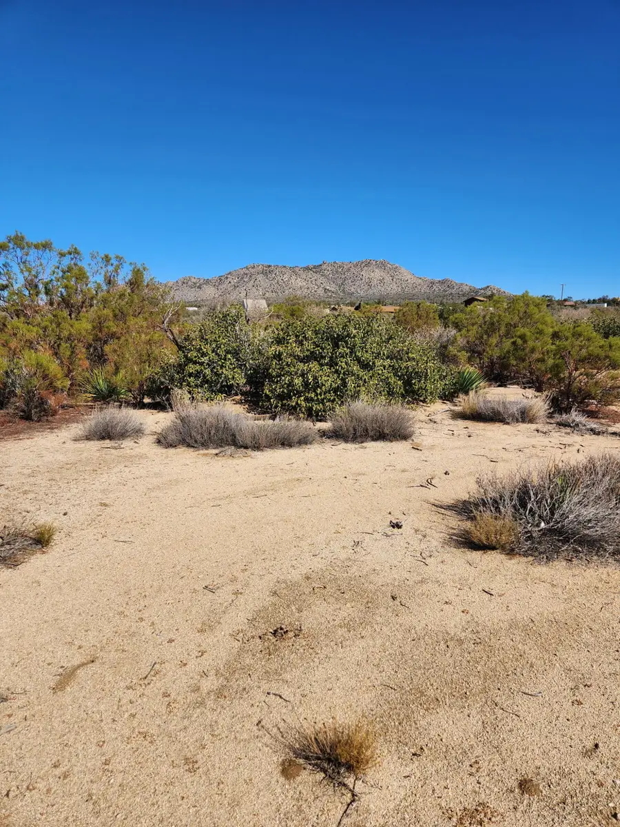0 Glacier Pass, Mountain Center, CA 92561 - #2