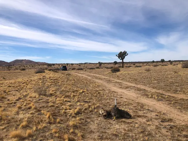 0 S 218th Street, Lancaster, CA 93536