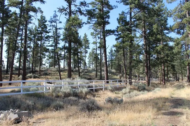 030 Butterfly Peak Road, Mountain Center, CA 92561 - #2