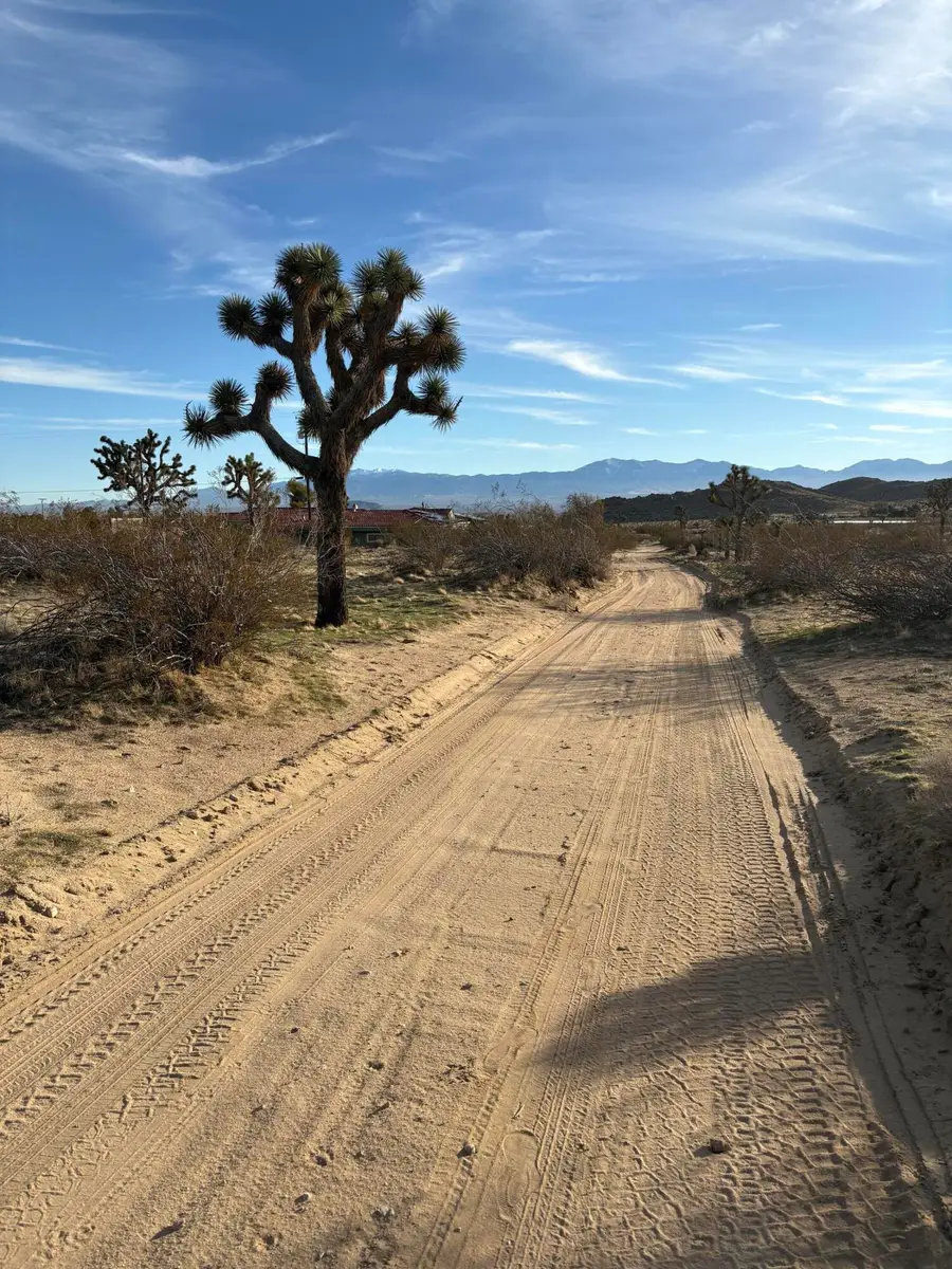 44252 203rd Street E, Lancaster, CA 93535 - #2