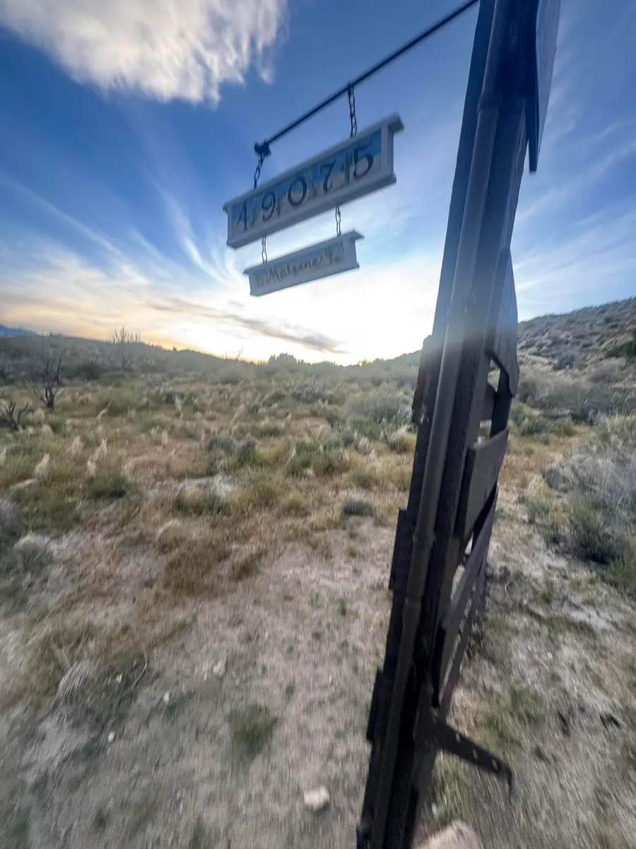 49075 Matzene Drive, Morongo Valley, CA 92256 - #2