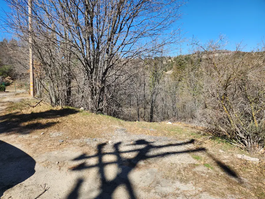 0 Elder Drive, Cedar Glen, CA 92321 - #2