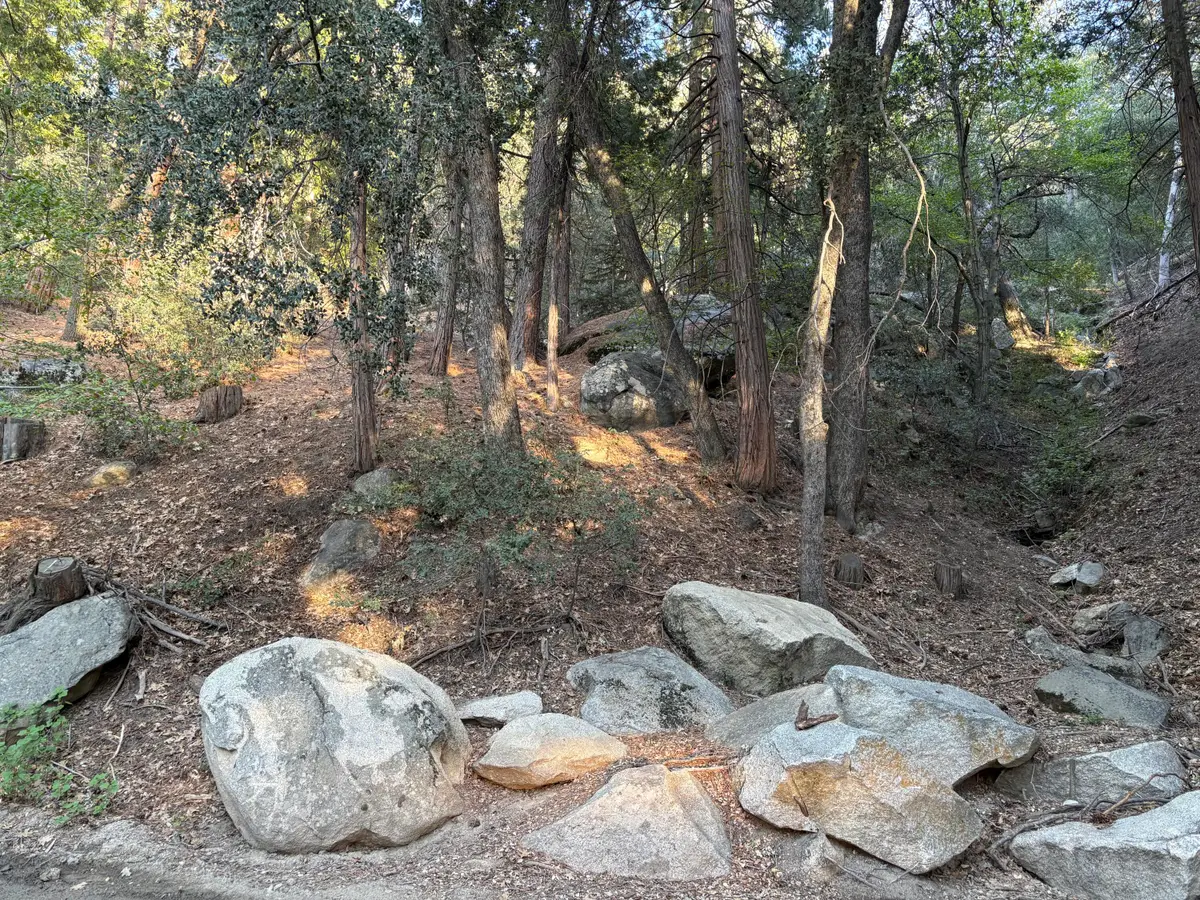 00000 Tahquitz View Drive, Idyllwild, CA 92549 - #1
