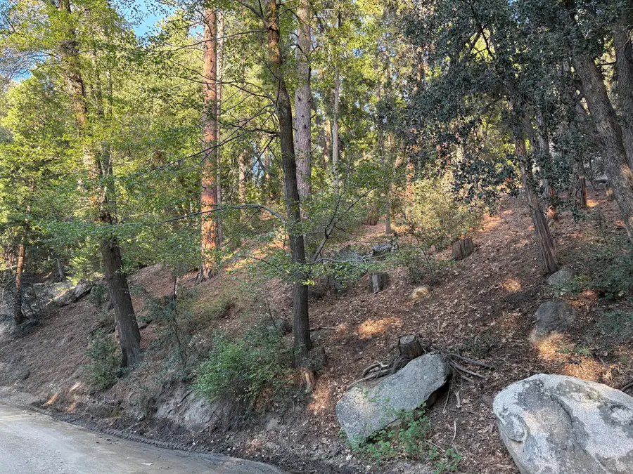 00000 Tahquitz View Drive, Idyllwild, CA 92549 - #2