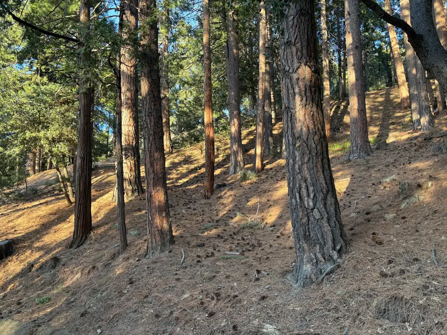 00000 Tahquitz View Drive, Idyllwild, CA 92549 - #3