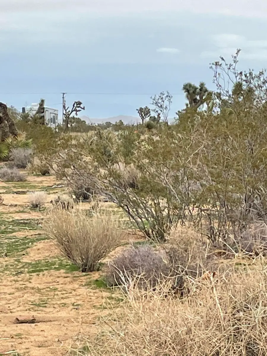 58383 Beaver Tail Lane, Yucca Valley, CA 92284 - #2