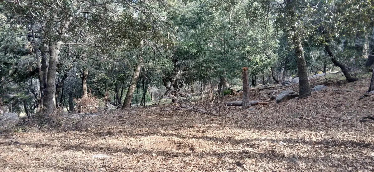 0 Alder Creek Road, Crestline, CA 92325 - #1