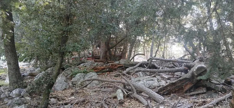 0 Alder Creek Road, Crestline, CA 92325 - #3