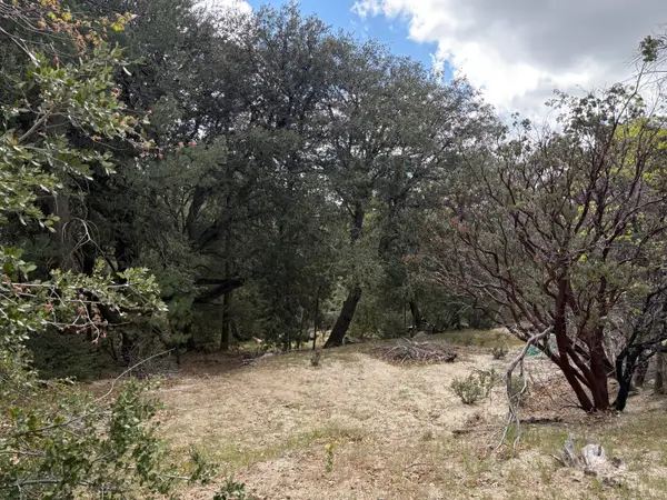 00000 Schaffer Drive, Pine Cove, CA 92549