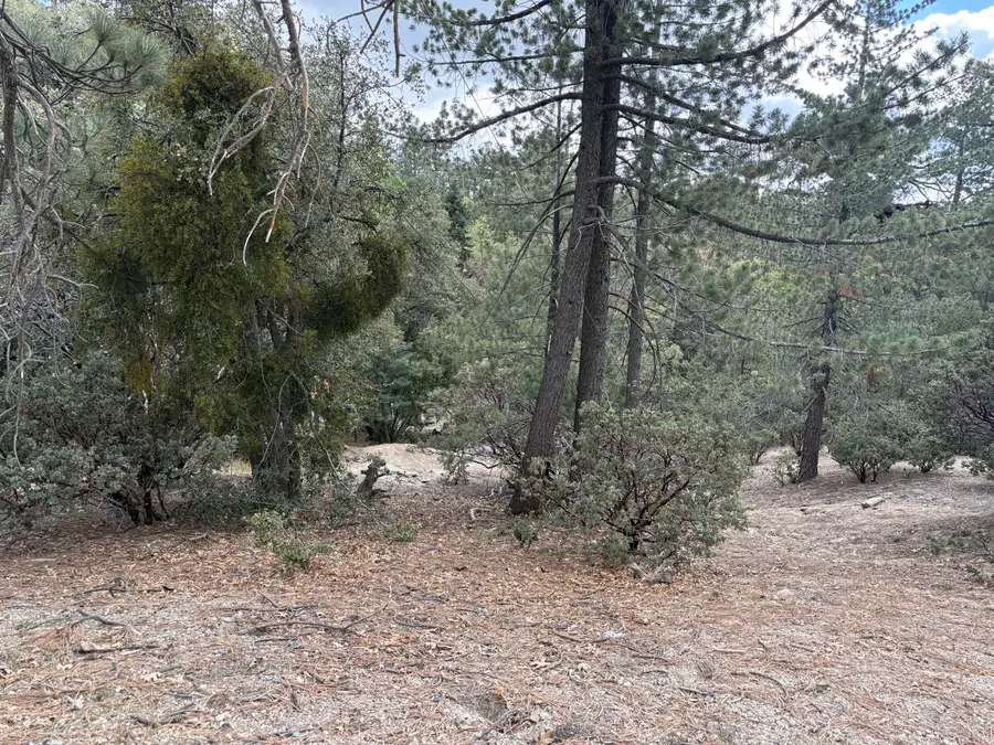 00000 Schaffer Drive, Idyllwild Pine Cove, CA 92549 - #3