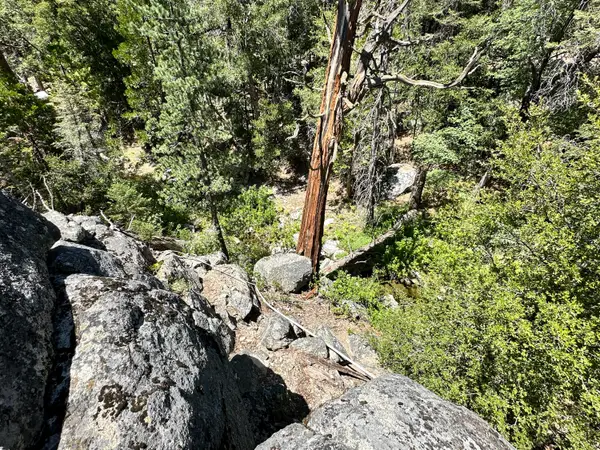 0 Forest Route 4s02, Idyllwild, CA 92549