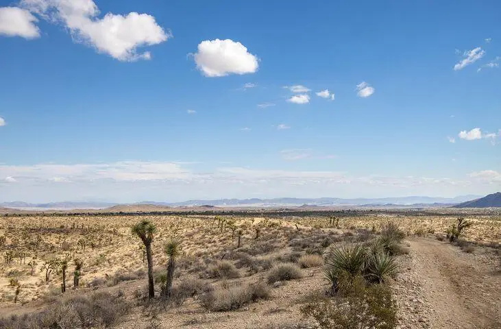57352 Sunflower Drive, Yucca Valley, CA 92284 - #3