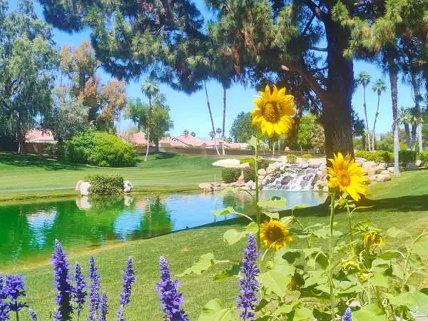 41715 Woodhaven Drive W, Palm Desert, CA 92211