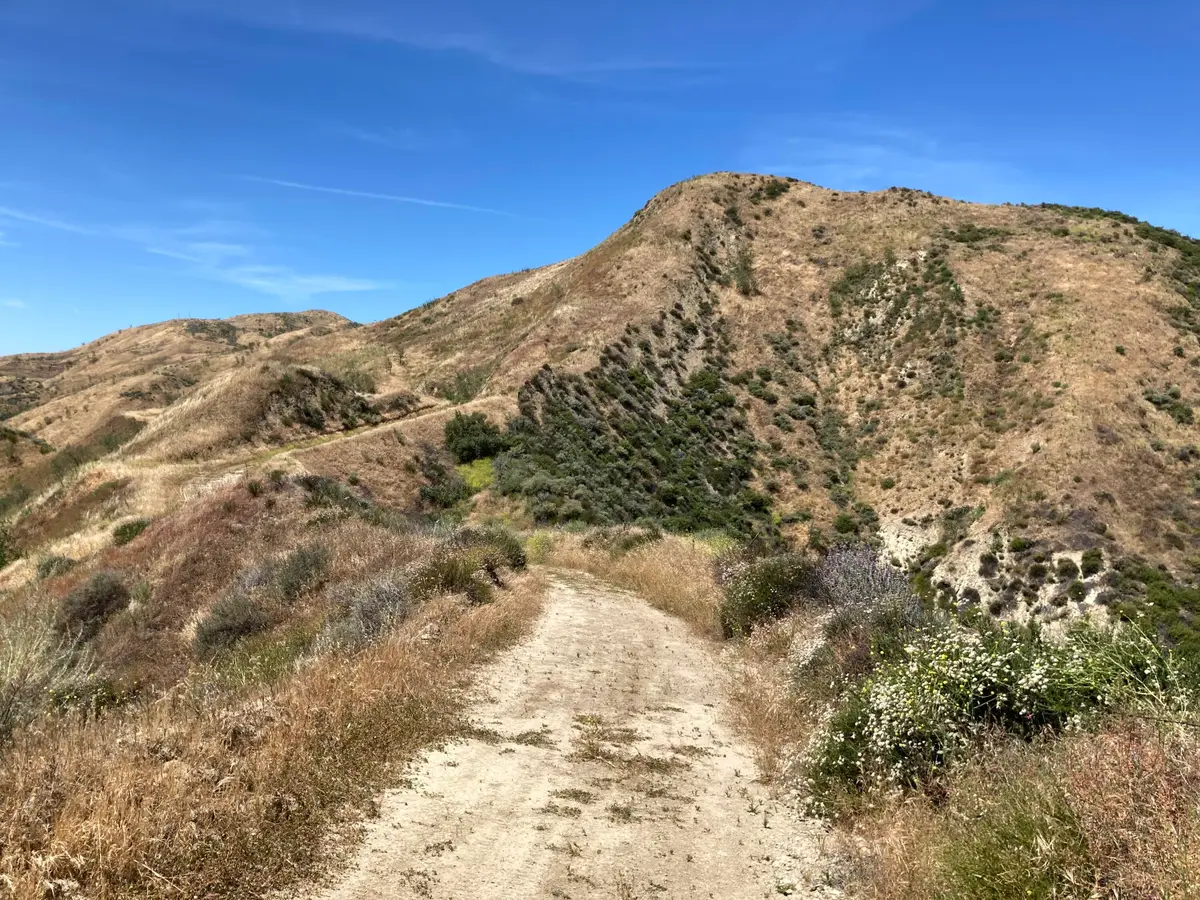 7003 Loma Verde Mountainway, Castaic, CA 91384 - #1