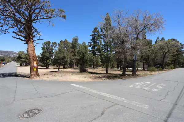 0 Dixie Lee, Sugarloaf, CA 92386