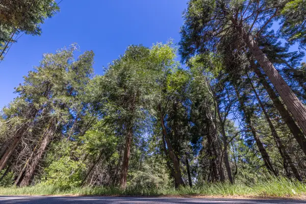 Lot 78 Cedar Pines Drive, Crestline, CA 92325