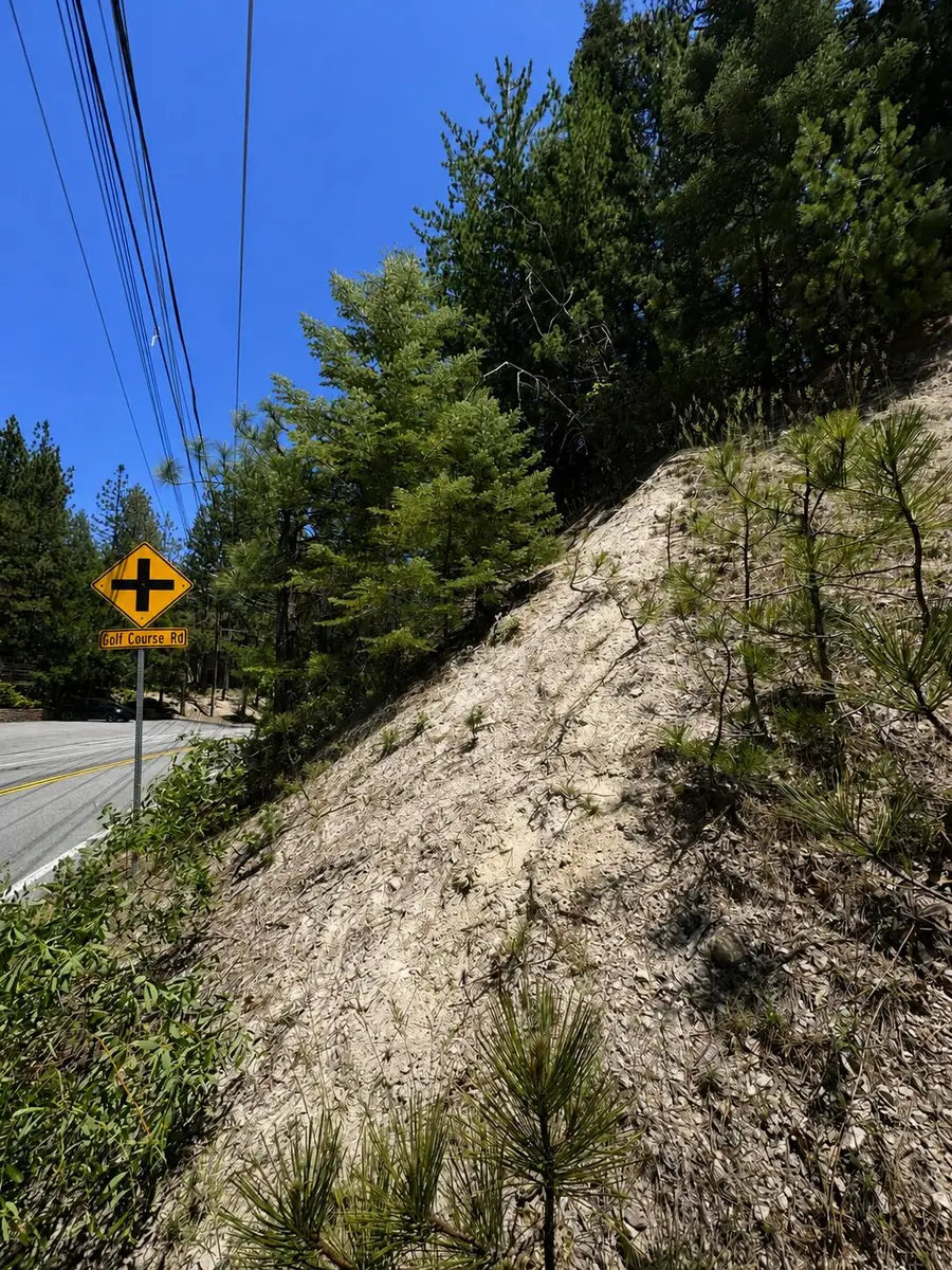 0 N Grass Valley Road, Lake Arrowhead, CA 92352 - #2