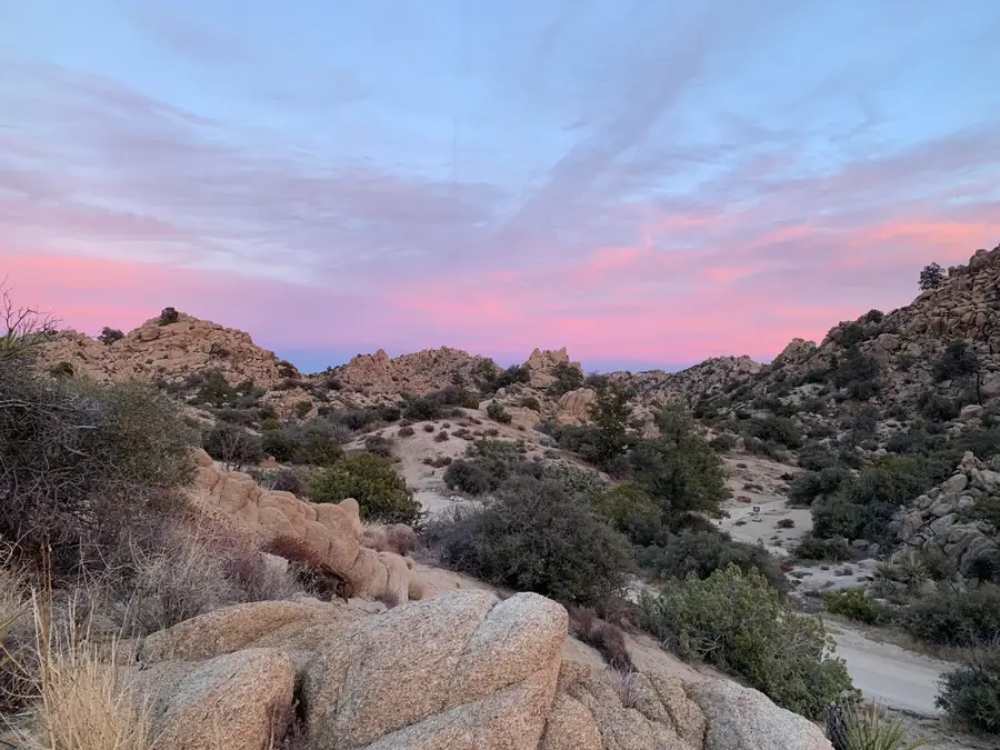 5850 Cactus Canyon Trail, Yucca Valley, CA 92284 - #2