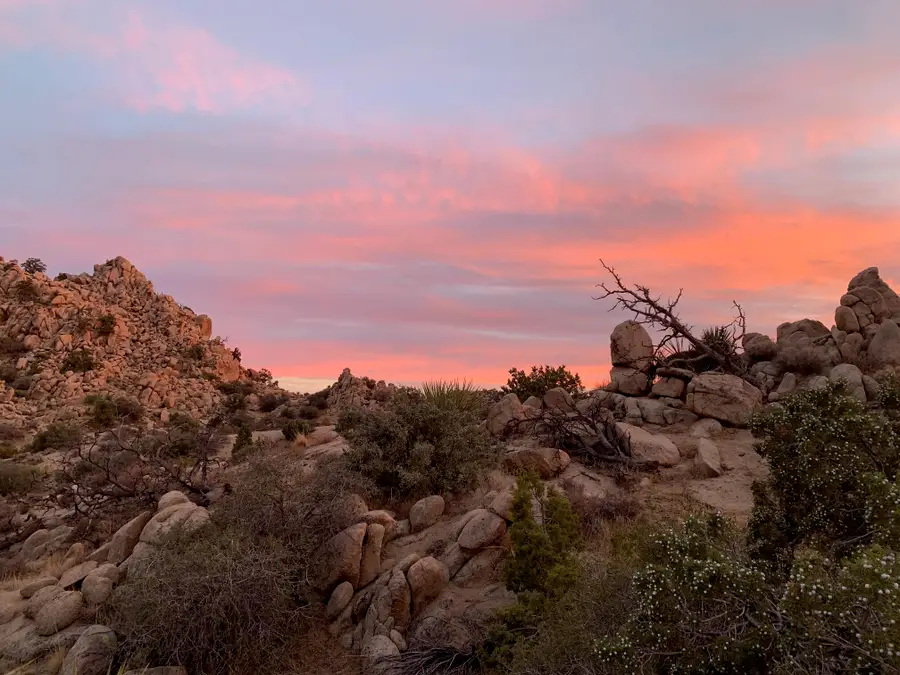 5850 Cactus Canyon Trail, Yucca Valley, CA 92284 - #3