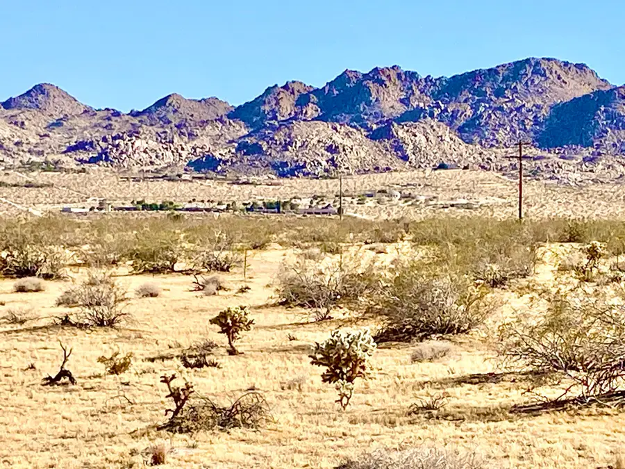 407 California Avenue, Joshua Tree, CA 92252 - #2