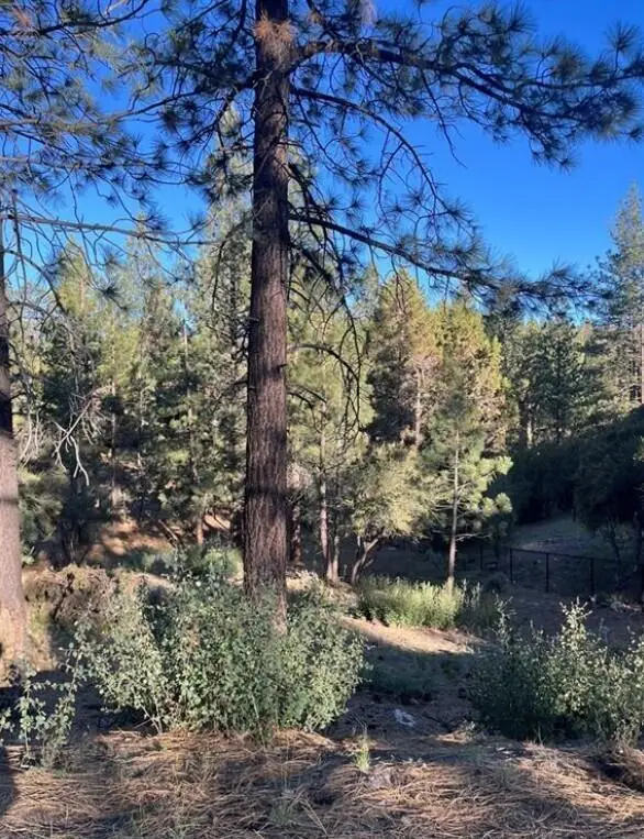 545 Division Drive, Big Bear City, CA 92314