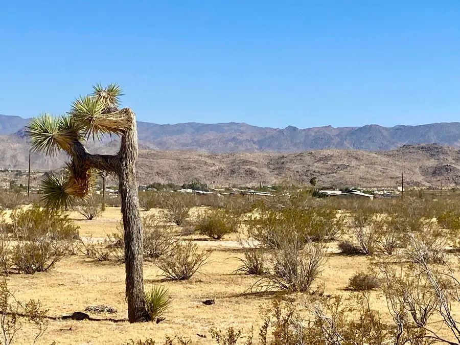 4225 Benji Avenue, Joshua Tree, CA 92252 - #2