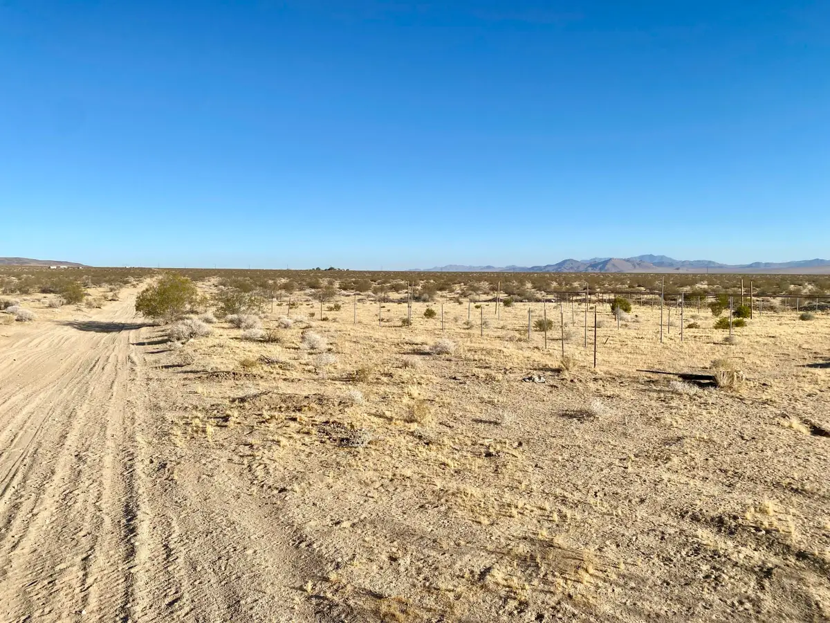 104 Joshua Tree Road, Johnson Valley, CA 92285 - #1